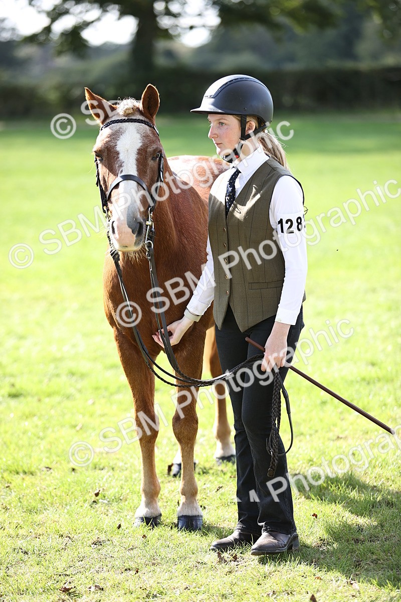 SBM_26242 - S5 - Novice & Newcomers In Hand