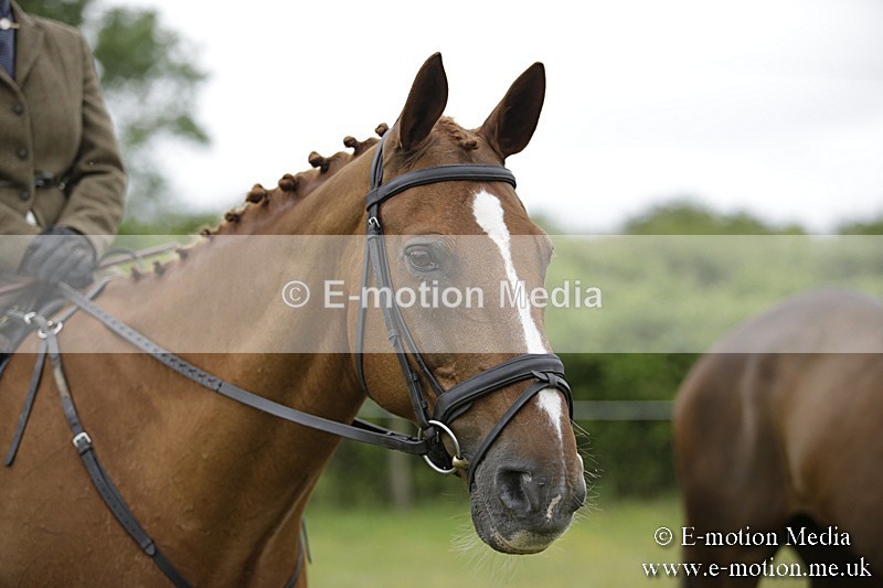 BVR160717-1035 - Ring 1 BVRC Show 16/07/17