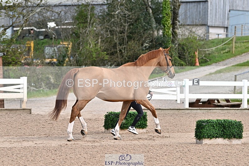 240417A-113158-00024 - 11am to 12pm