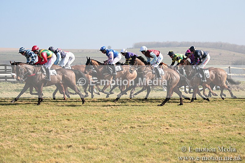 PtP 230219 56 - Vine & Craven Point-To-Point - Barbury 23/02/19