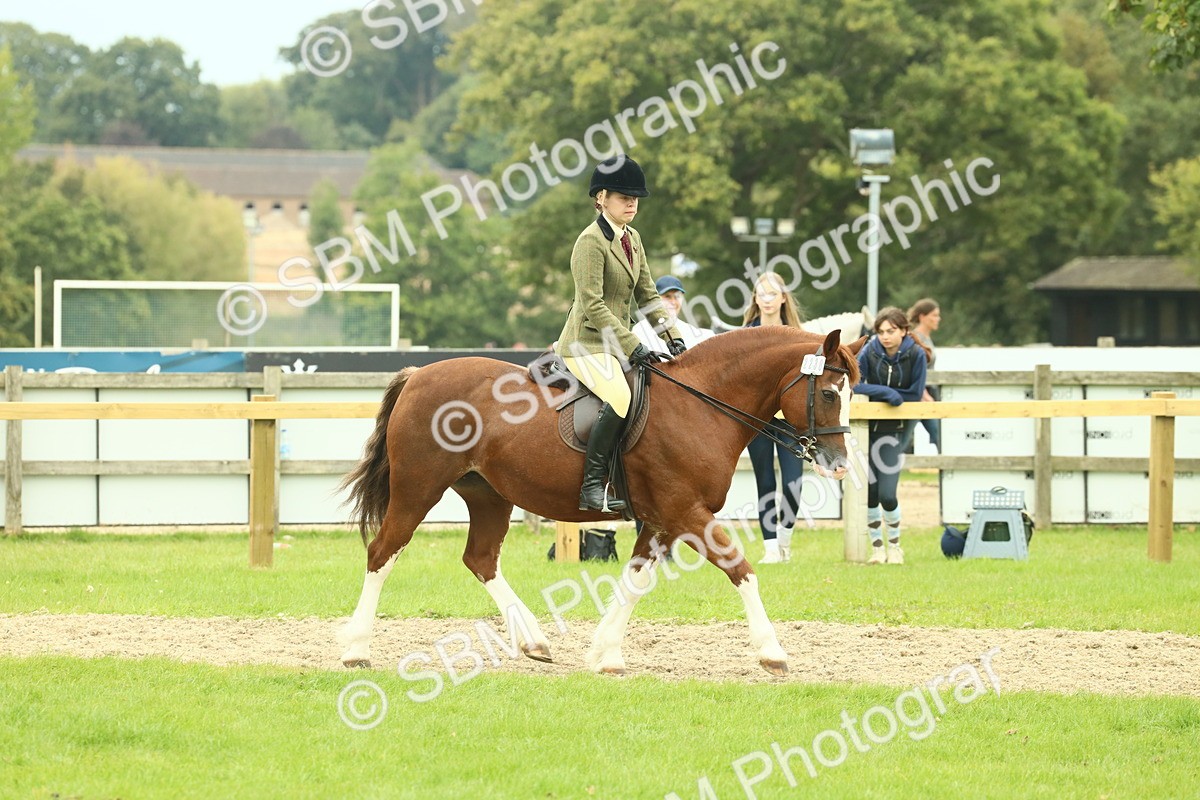 SBM_72113 - S60 - Mountain & Moorland Ridden Large Breeds