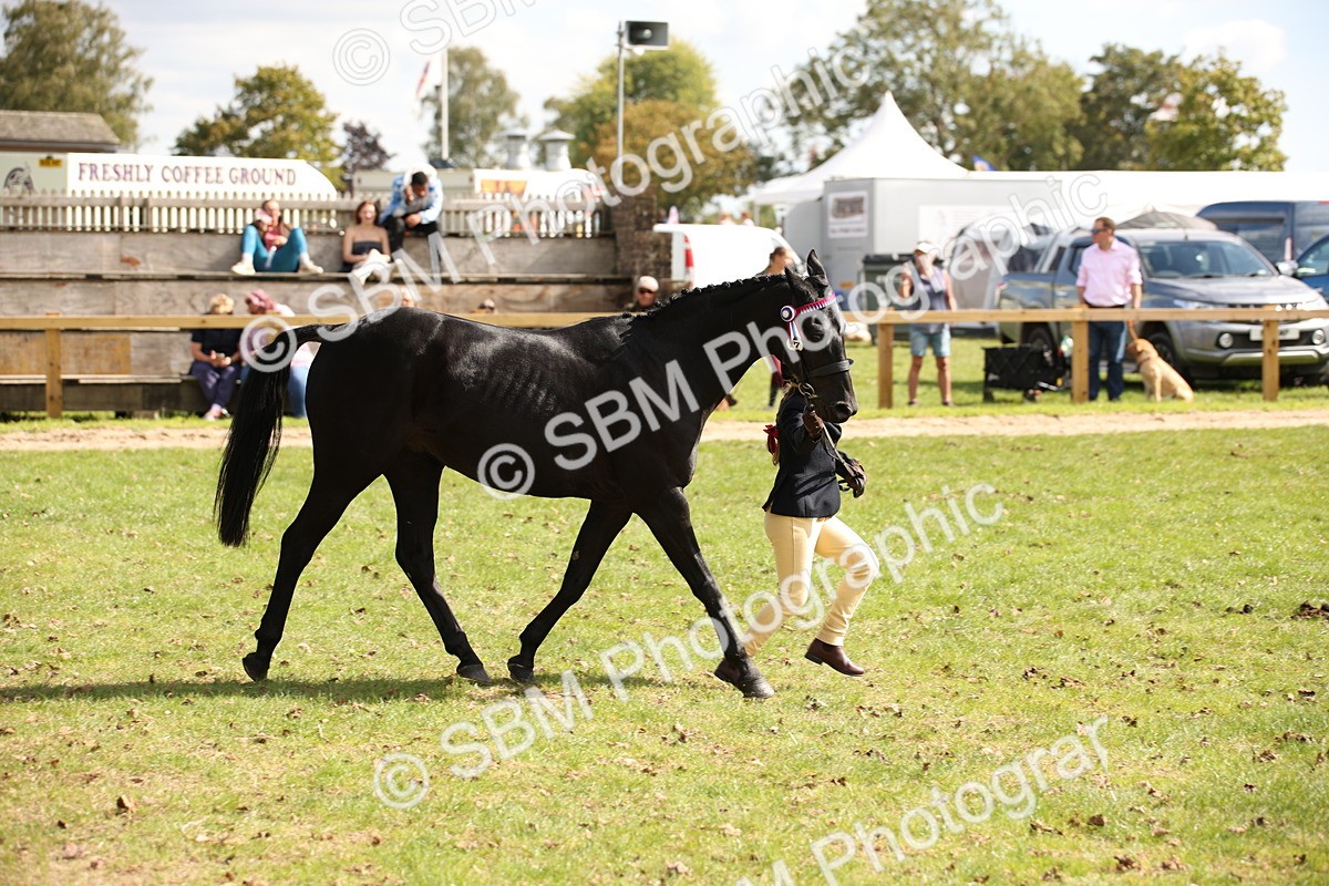 SBM_44458 - S24 - Young Veteran in hand