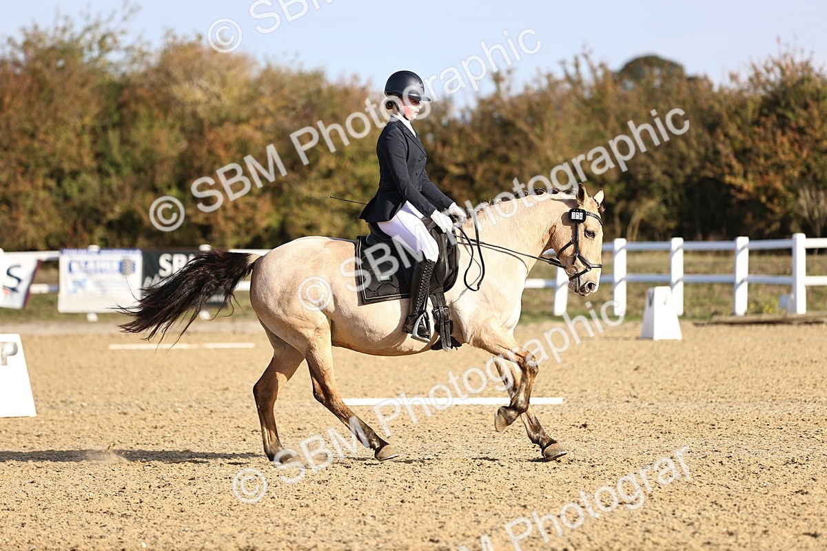 SBM_009095 - Class 2 - P5