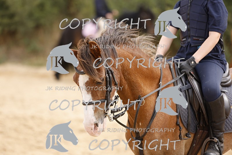 _R6A0926 - Sand arena