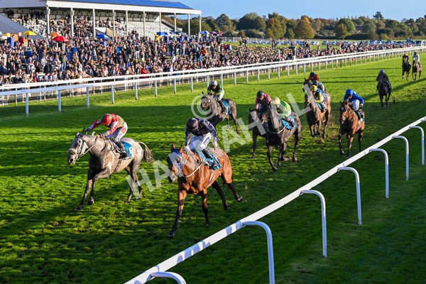 121024-Race 7-Two Brothers-3602 - Race 7 5.05pm Coral Committed To Safer Gambling Finale Handicap