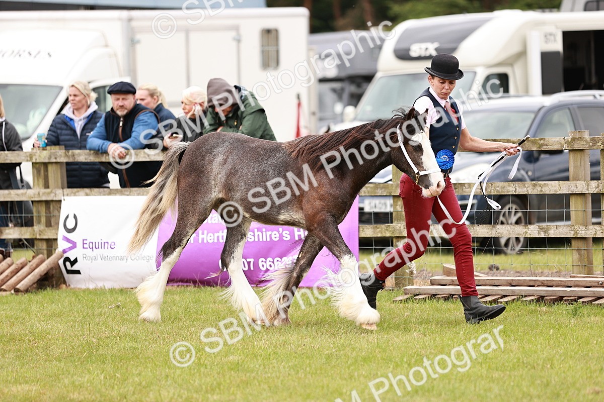 SBM_04736 - Class 5-8 - BSPA In hand