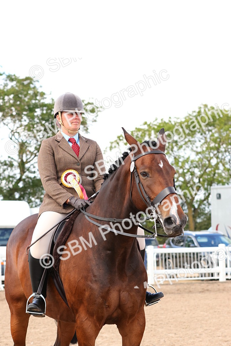 SBM_13575 - Class 212 - Ridden Hunter  - Large