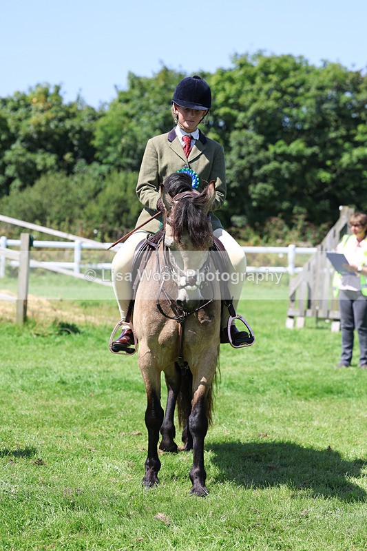 3E7A9269 - Working Hunter Championship