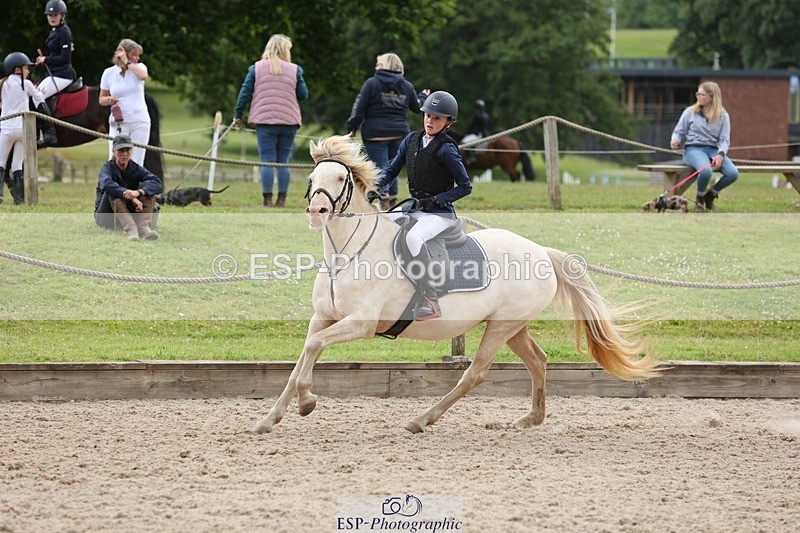 240616-164826-05479 - 80cm 3.30 to End