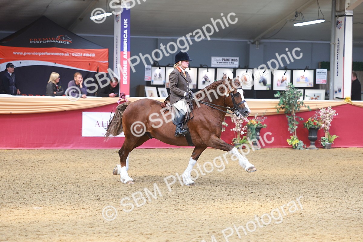 SBM_12528 - Class 103 - HOYS Veteran Qualifier - Ridden Pre Vet