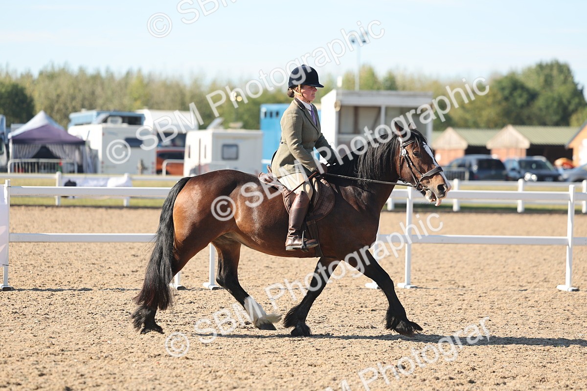 SBM_12319 - Class 304 - Ridden part Bred Horse Pony