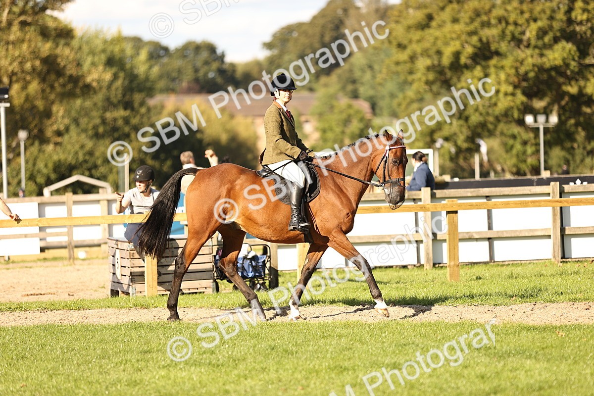 SBM_26450 - S6 - Novice & Newcomers Ridden Horse