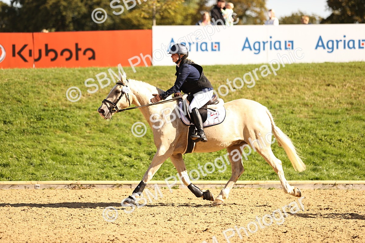 SBM_38055 - J39 - Senior 85cm Championship