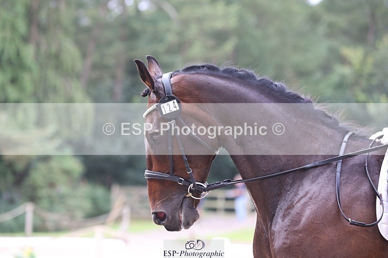 230812-105100-03375 - Cls 5 Novice Bronze Start to 10.55 break