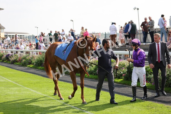 yr05092021r3-5 - Race 3 3.15pm The BioWaveGo Garrowby Stakes