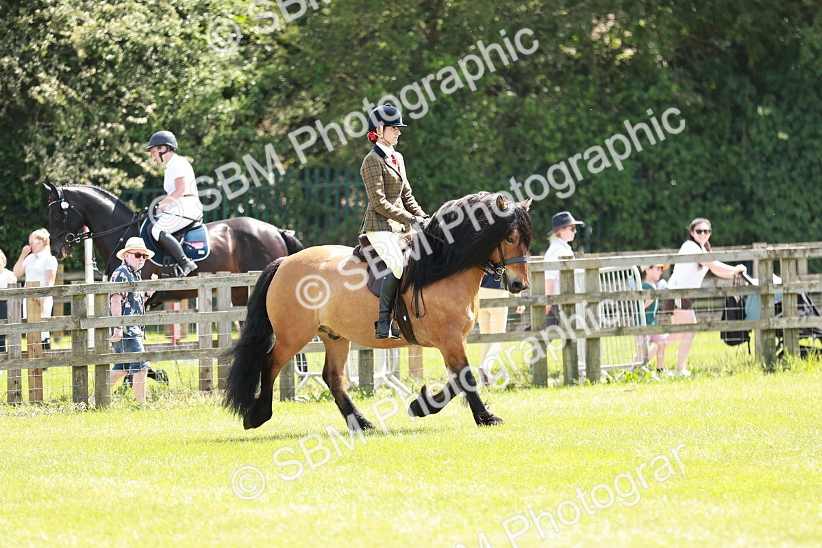SBM_07039 - Class 26-30 - Mountain and Moorland Ridden