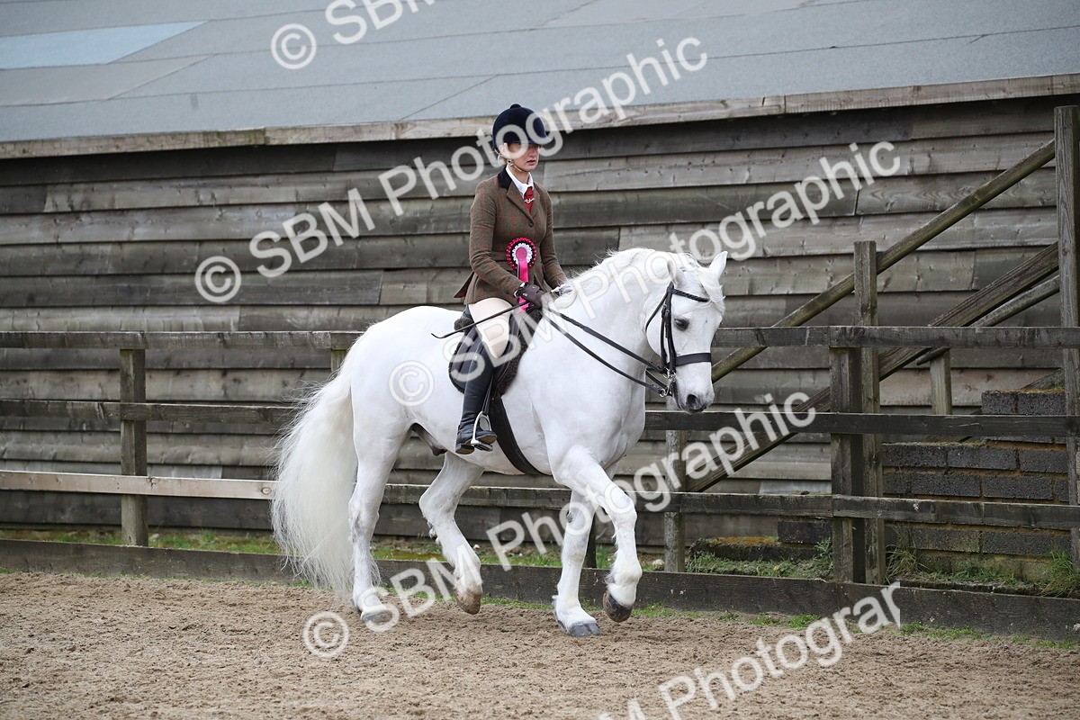 SBM_006470 - Class 10-13 - RIHS Small Large Breeds