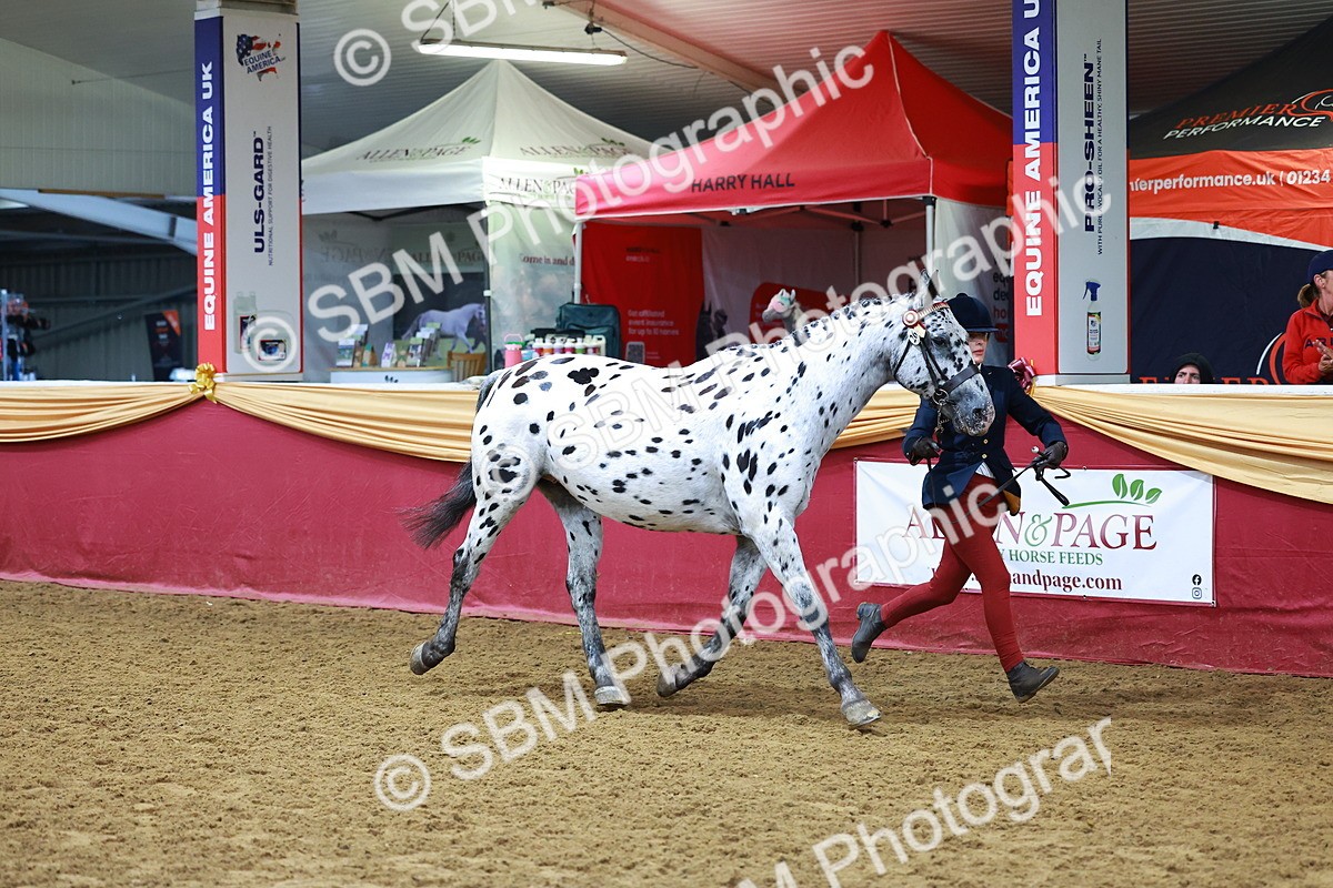 SBM_16149 - Class 901 - Sup Final - IH Diamond
