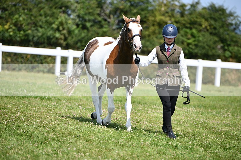 DSC_7775 - Class 64: Coloured Pony 4yrs & over