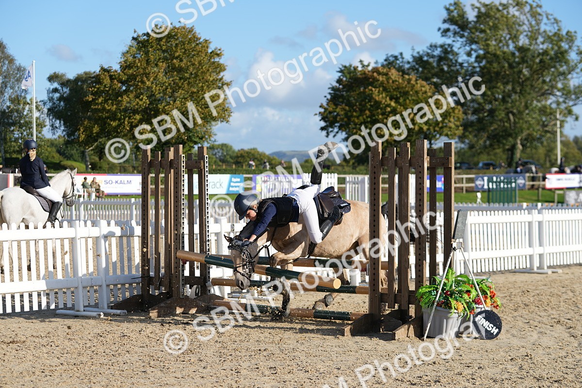 SBM_53612 - J8 - Junior Pony 65cm Championship