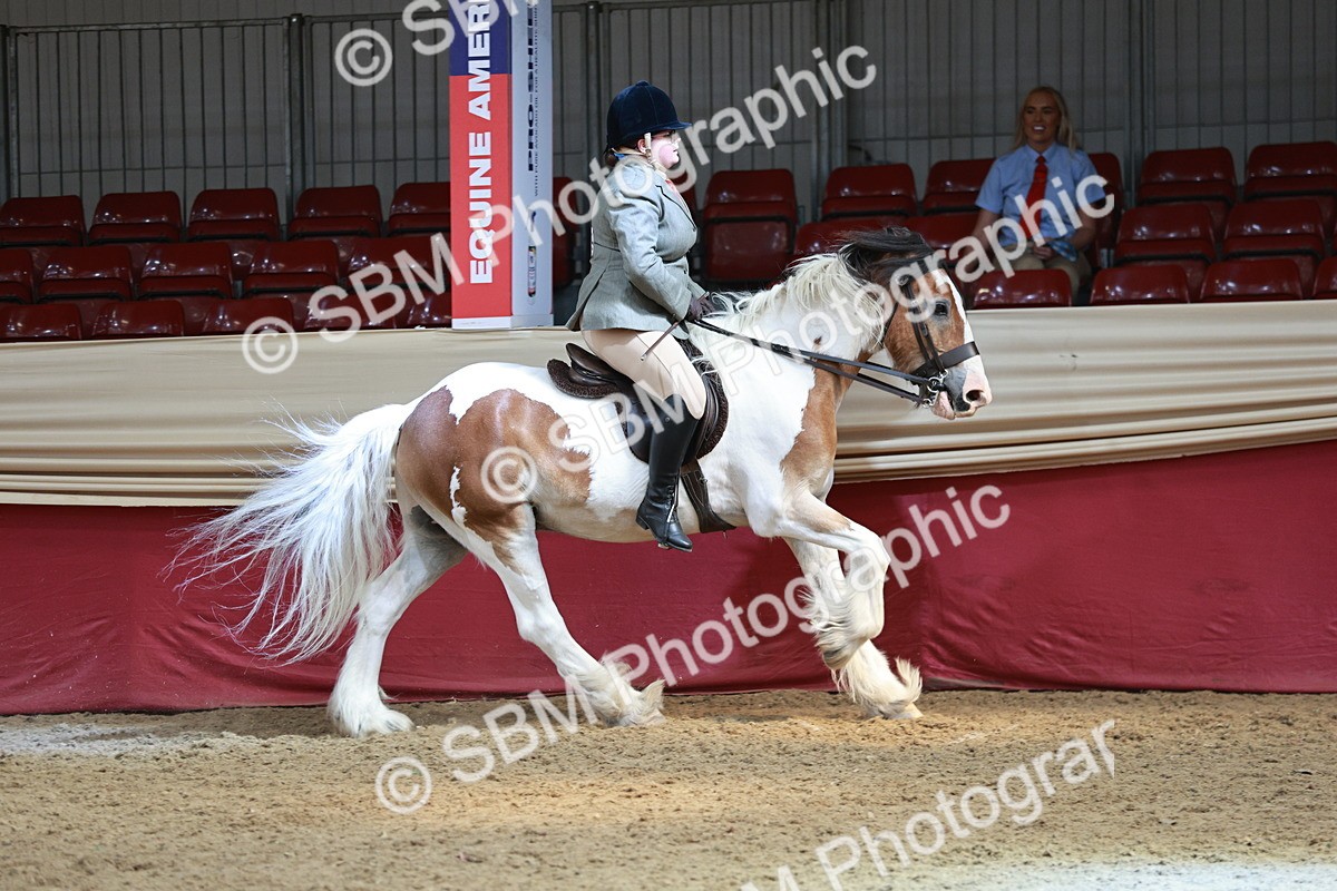 SBM_07000 - Class 10R - Regional Ridden Diamond