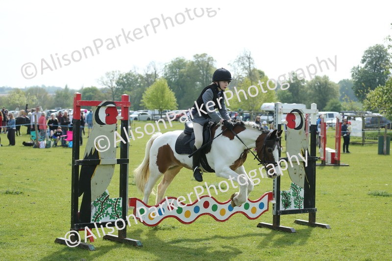 20260426-1561 - Class 14 - Novice 60cm