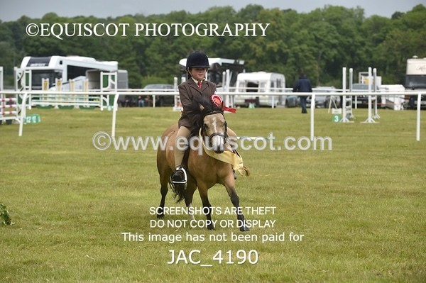 JAC_4190 - 30CM WORKING HUNTER