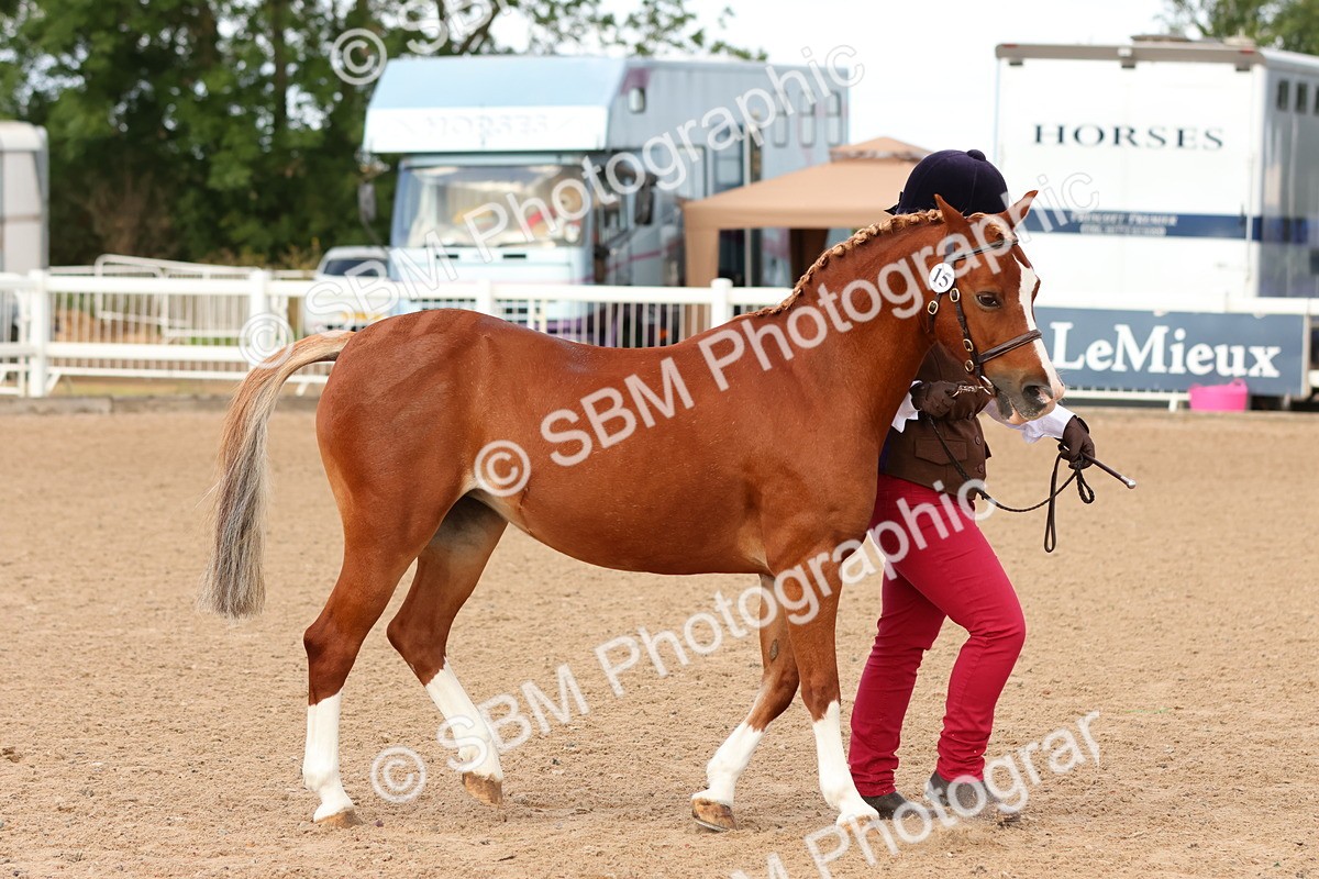 SBM_09192 - Class 204 - Young Handler