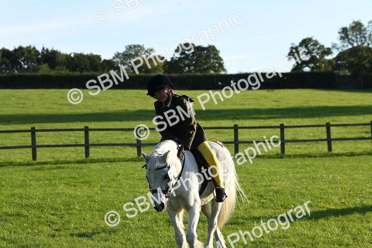 SBM_54153 - S23 - 1st Ridden Mountain & Moorland Pony