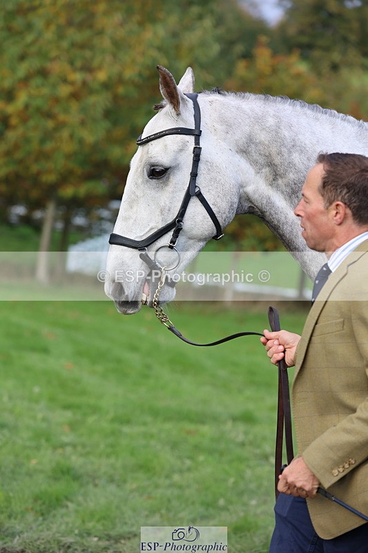 251026A-102144-22925 - E-389-Will.van.Ufford
