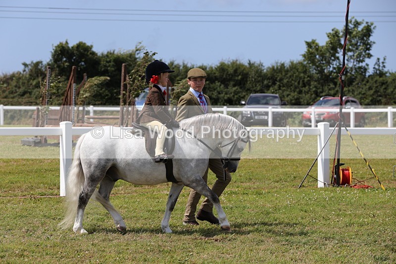 1X9A5104 - Class 36: NPS M&M Lead Rein