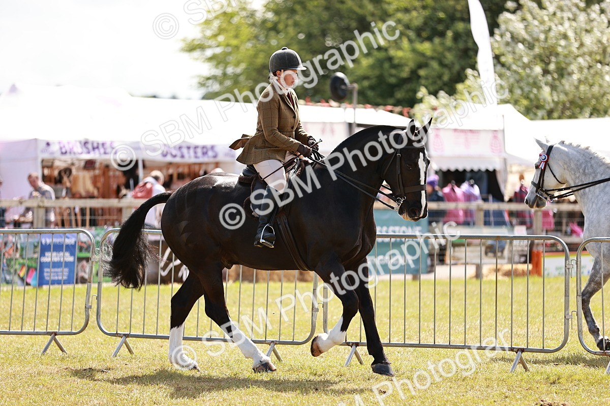 SBM_14019 - Class 85-87 - RIHS Cobs