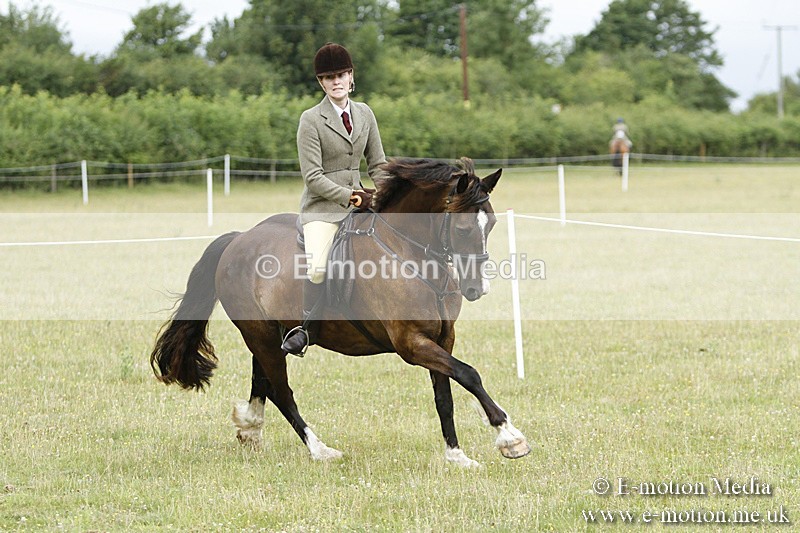 BVR160717-177 - Ring 3 BVRC Show 16/07/17