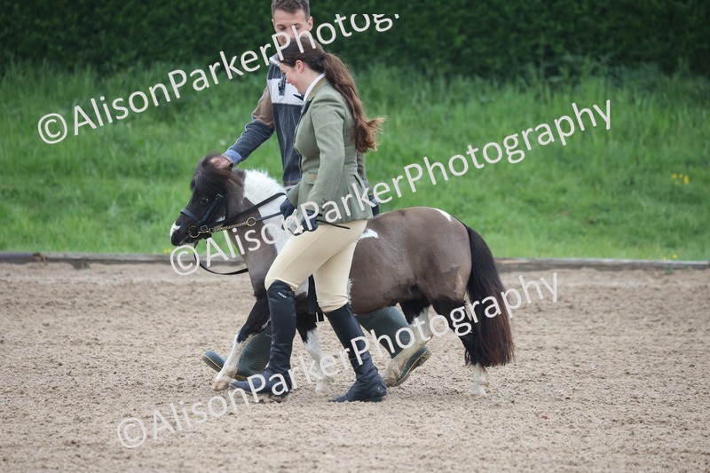 20260504-0100 - Class 9 - Lead Rein Pony