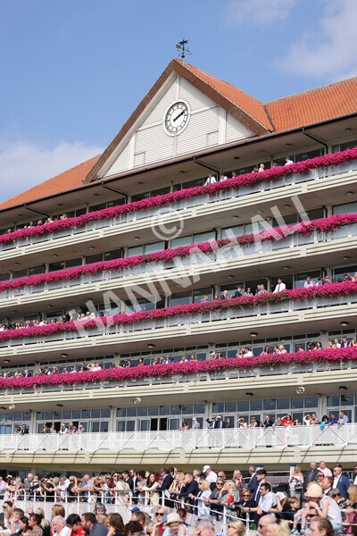 yr05092021r1-18 - Race 1 2.10pm IRE-Incentive It Pays To Buy Irish ebfstallions.com Novice Stakes