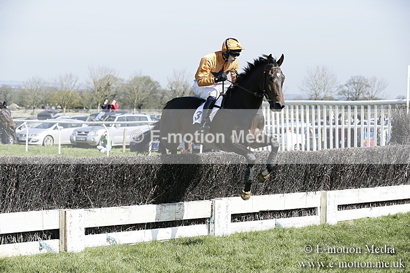 PtP 260317 46 - Mendip Farmers Point-to-Point Ston Easton 26/03/17