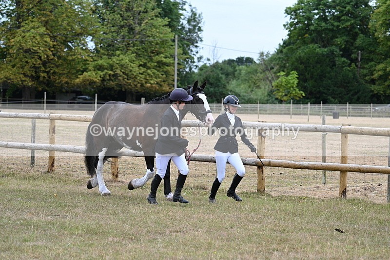 WJ7_8918 - Class 4a Prettiest Mare 14.2hh and over