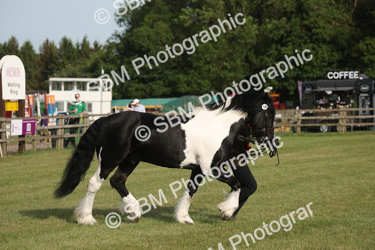SBM_10576 - Class 33-38 - SSADL RIHS Qualifiers