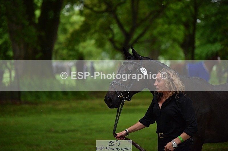 240522-153340-00430 - 376-STORM_BLUE_CURTIS-Phoebe_Buckley