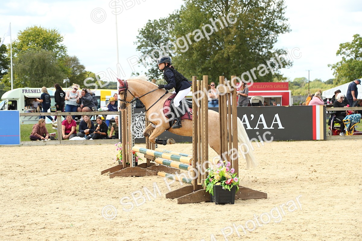 SBM_41427 - J6 - Junior Pony 55cm Championships