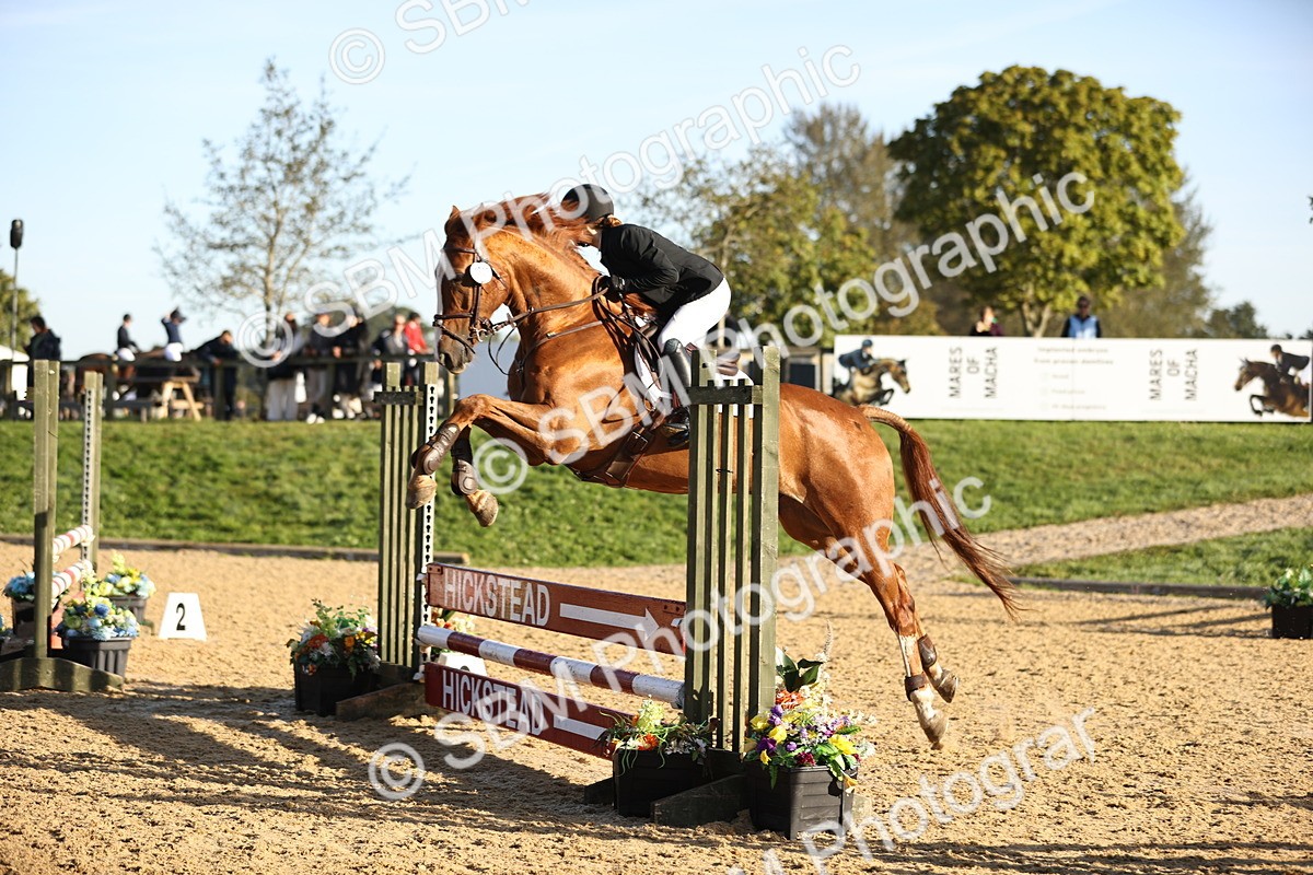 SBM_33159 - J38 - Senior 80cm Championship