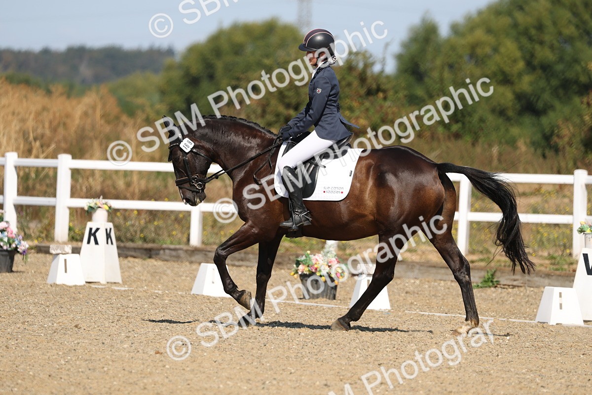 SBM_013486 - Class 1 - P5 Bronze 10.38.12.02