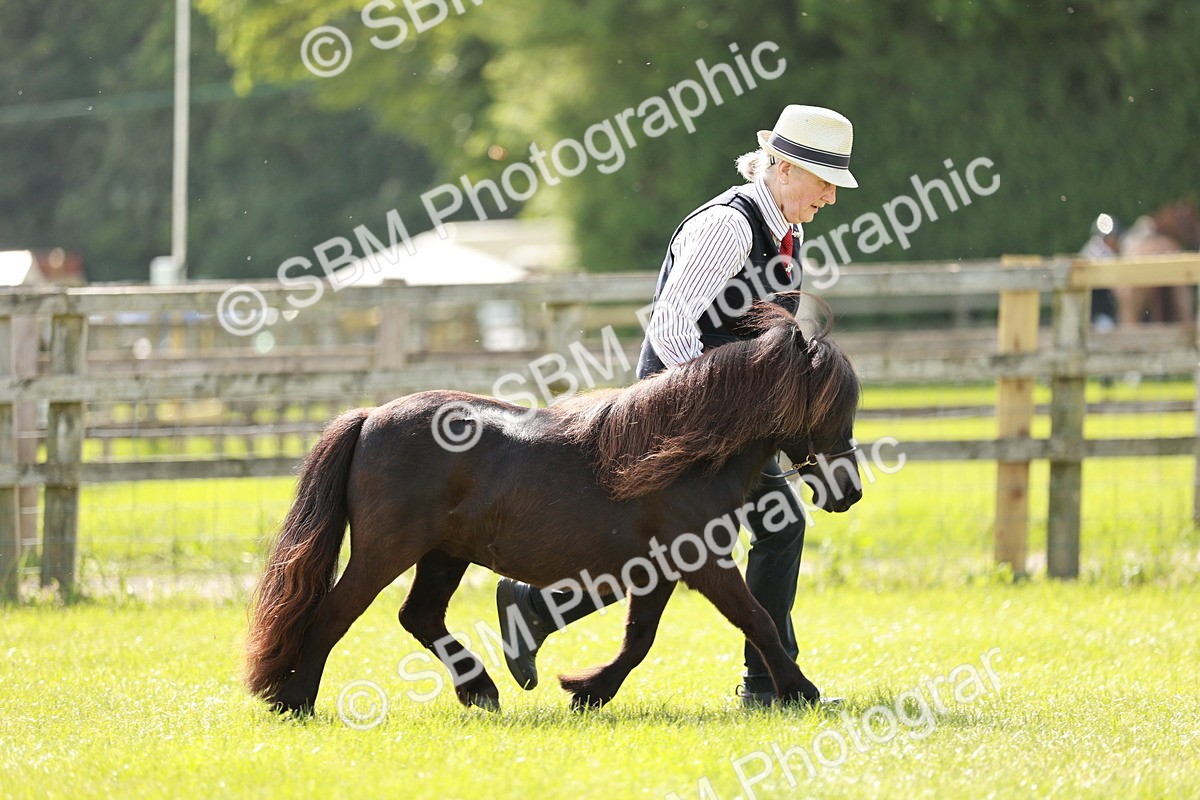 SBM_01876 - Class 14-23 - Mountain & Moorland In Hand Non Welsh