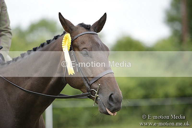 BVR160717-481 - Ring 1 BVRC Show 16/07/17