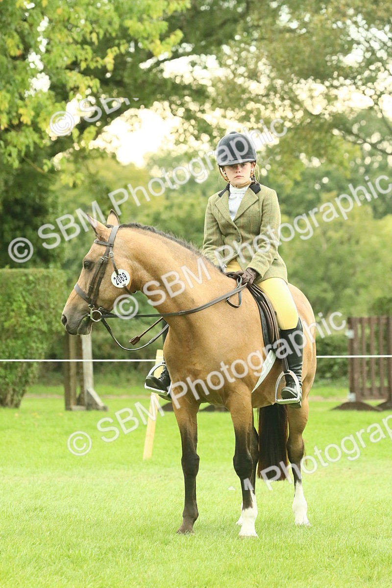 SBM_74027 - S 61 - Show Pony & Show Hunter Pony Ridden