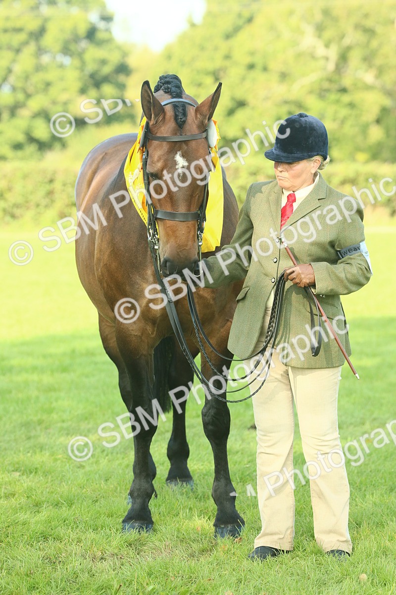 SBM_61143 - Starter Supreme Championship