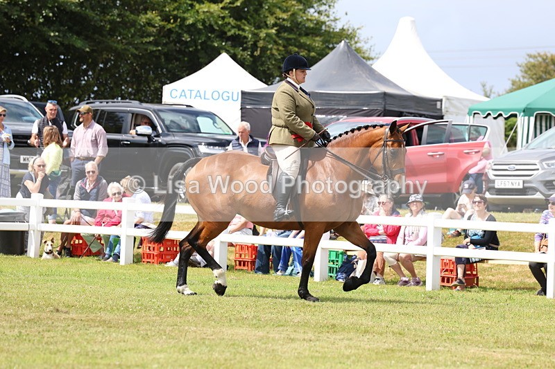 3E7A0486 - Rising Star Ridden Championship