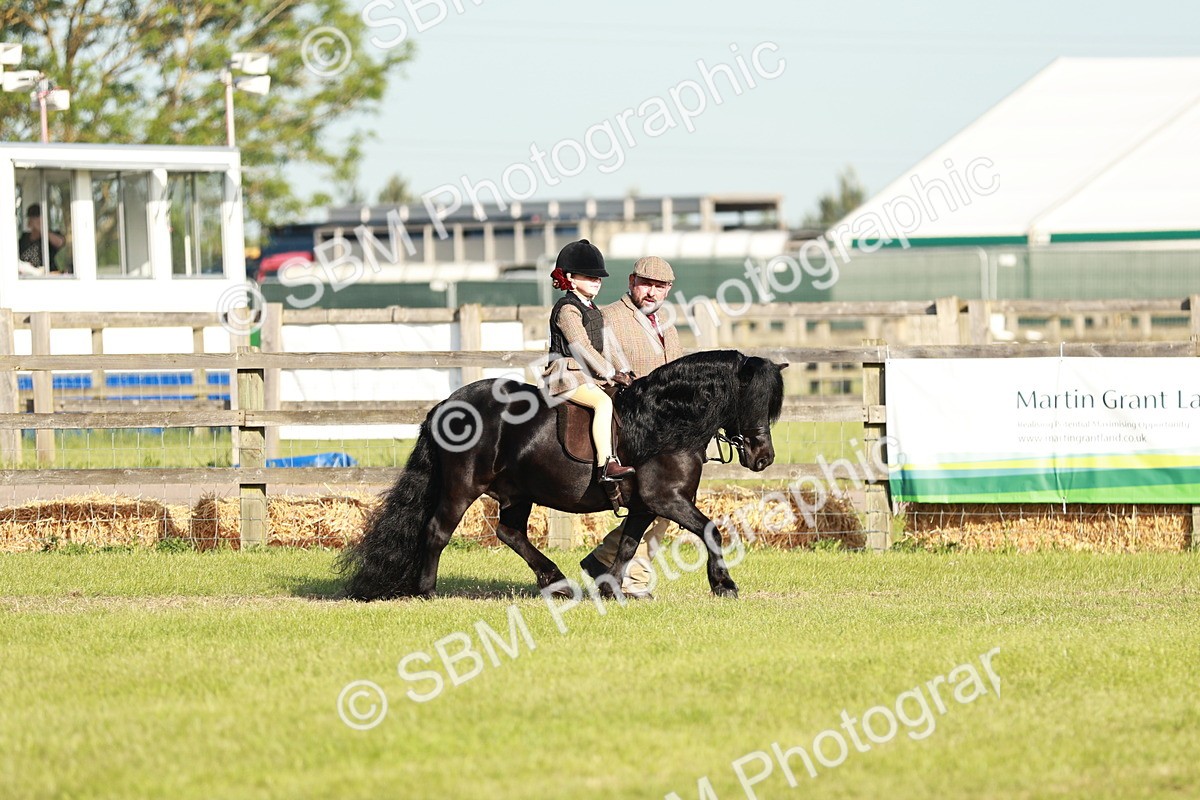 SBM_11020 - Class 106-107 - BSPS LIHS Working Sports Pony
