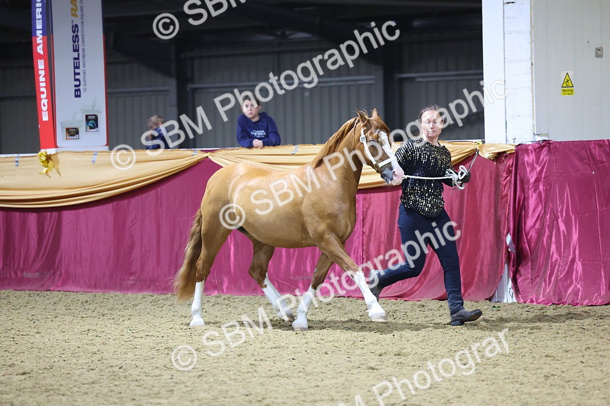 0B8A4398 - Class N M&M Champ