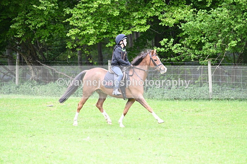 WJ7_2718 - Group 8 A&B Cameras